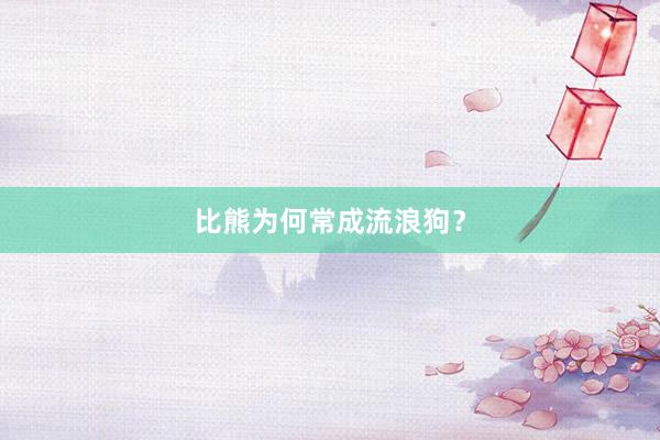 比熊为何常成流浪狗？