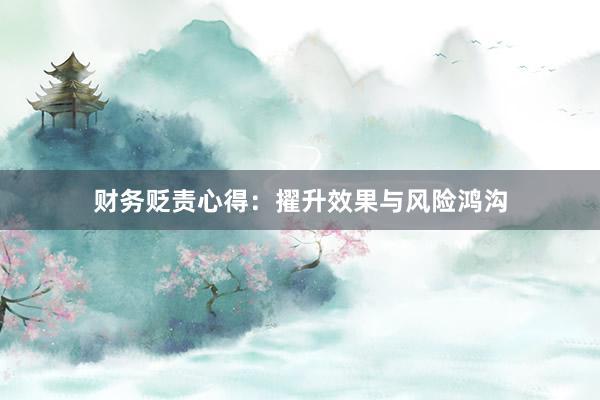 财务贬责心得：擢升效果与风险鸿沟