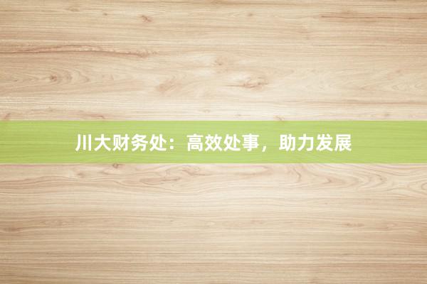 川大财务处：高效处事，助力发展